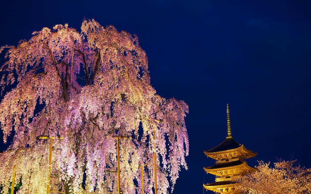 Miyanoan Villa Kyoto Eksteriør billede