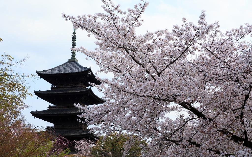 Miyanoan Villa Kyoto Eksteriør billede